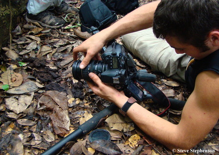 Todd Elliott photographing a Cordyceps